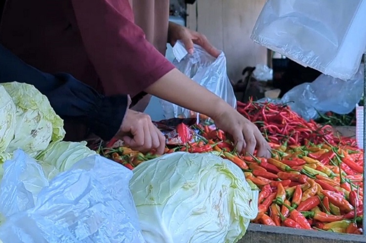 Harga cabai, bawang, tomat, hingga sayuran di Pasar Serpong Tangsel naik dalam dua hari terakhir. Pedagang menyebut penguatan dolar AS merpengaruhi. (Foto: Kompas.com/Ilustrasi)