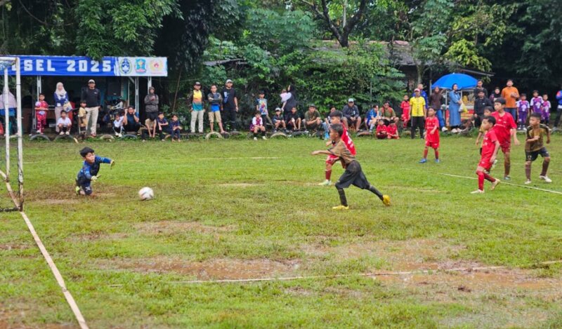 Liga Pagustas