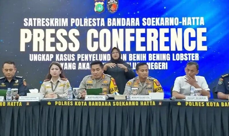 Polresta Bandara Soekarno-Hatta menggagalkan penyelundupan 85.750 benih lobster jenis pasir dan mutiara. Tiga tersangka berhasil diamankan. (Foto: Istimewa)