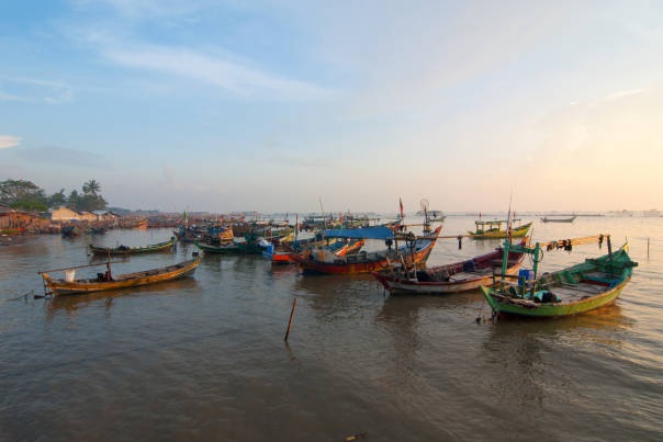 Biota laut di pesisir Tangerang diduga mati akibat pencemaran kimia. Nelayan tidak melaut dan menunggu hasil investigasi pemerintah. (Foto: iStockphoto/Ilustrasi)
