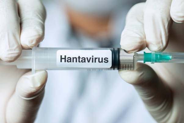 Pemprov Banten memperketat pengawasan bandara dan pelabuhan usai menemukan kasus pertama Hantavirus pada November 2025. (Foto: iStockphoto/Ilustrasi)
